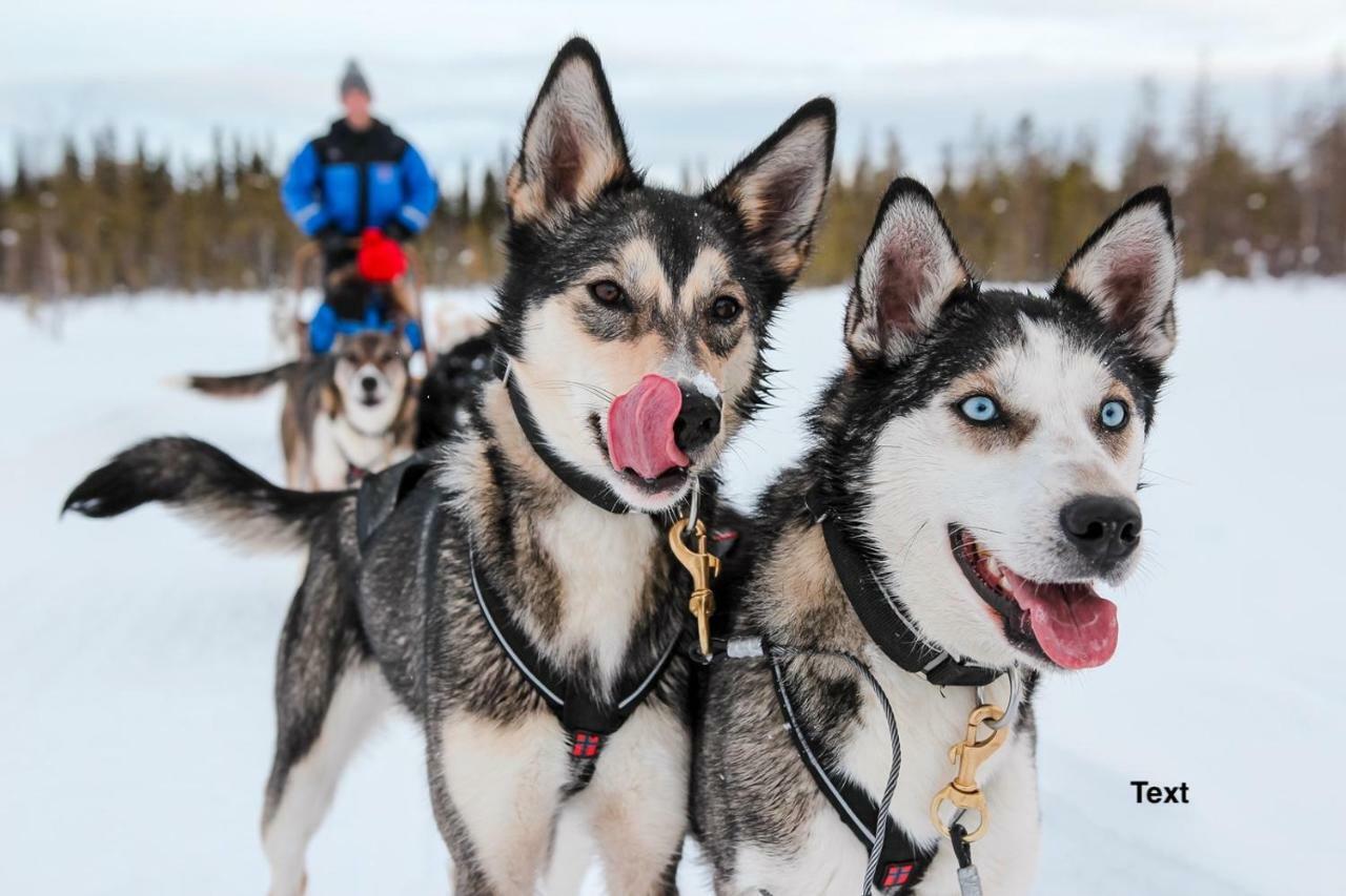 Arctic Resort Delight Rovaniemi Luaran gambar